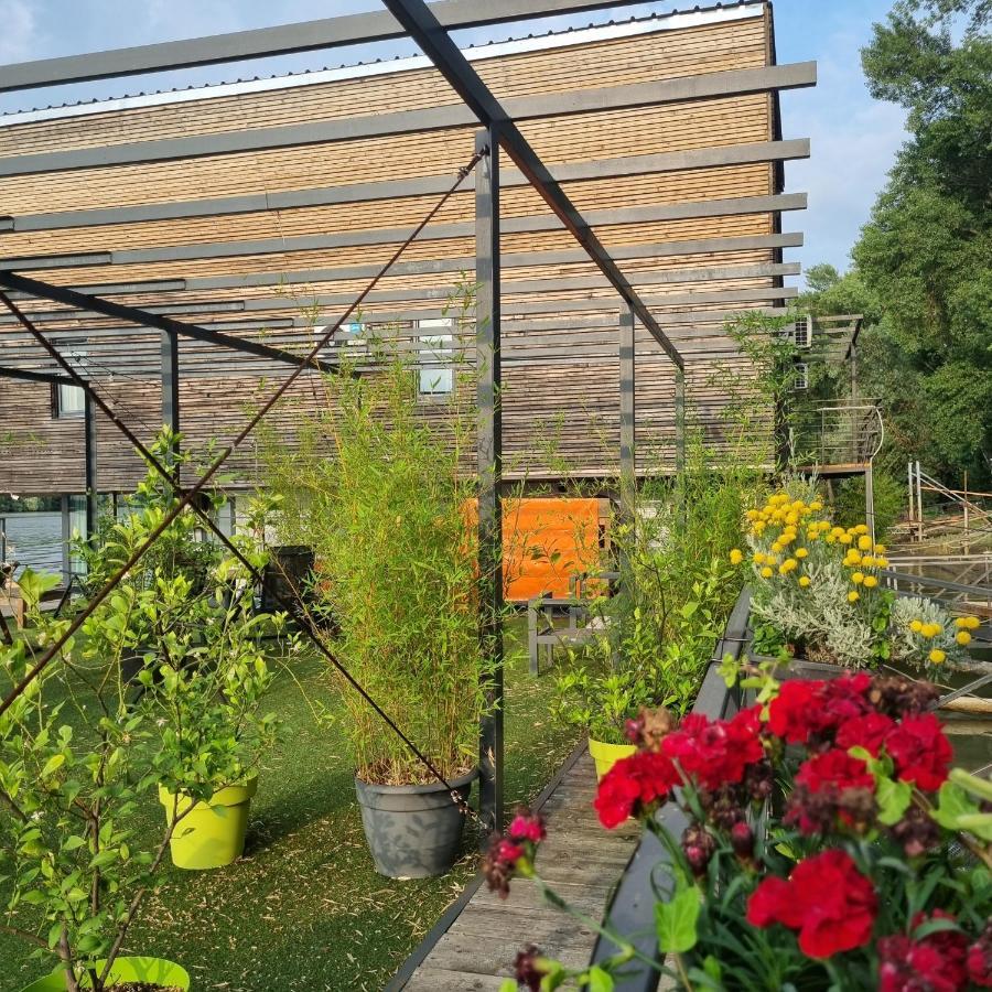 博条查理住宿加早餐旅馆 贝尔格莱德 外观 照片