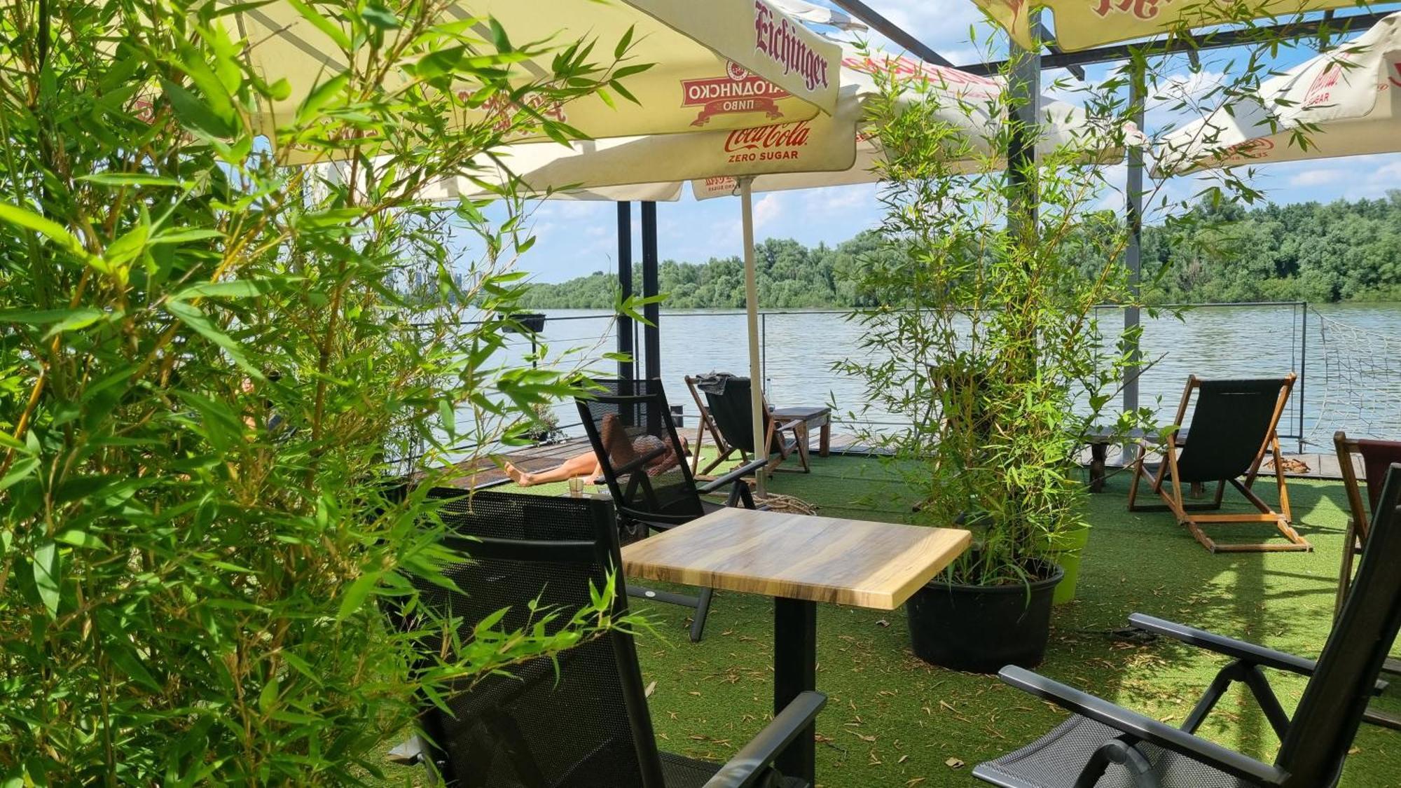 博条查理住宿加早餐旅馆 贝尔格莱德 外观 照片